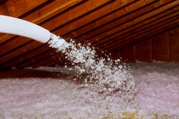Best Geographic-Specific Insulation Services in Gary, IN